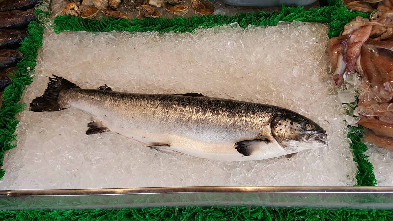 conseil-poisson-au-four-saumon